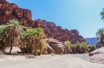 Wadi Al Disah Full Day Tour with Hotel Pickup