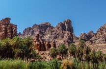 Wadi Al Disah Full Day Tour with Hotel Pickup