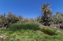 Full day Khaybar Tour