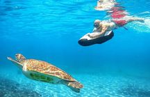 Seabob Rental in Guadeloupe