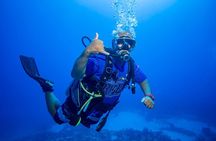 Discovery Scuba Diving !!