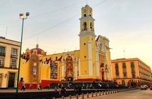 Xalapa and Coatepec Cultural Tour from Veracruz