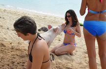 Swimming Pigs & Tour with Transportation to Rose Island