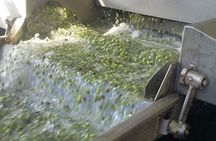 Wine, Olive Oil, and Honey Tour with Winemaker