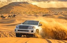 Evening Desert Safari Adventure in Dubai