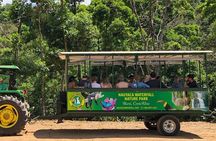 Shared 6 Hours Nauyaca Waterfall Adventure