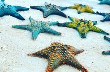 Starfish Beach; The Rock; Kuza Cave; Paje Beach; Salaam Cave Tour