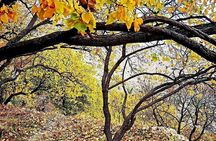 2 Days 1 Night Wakan Private Tour