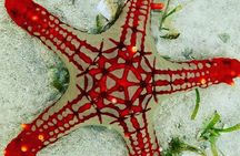 Starfish Adventure; Blue Lagoon; The Rock; Kuza Cave, Salaam Cave