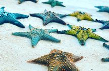 Starfish Adventure; Blue Lagoon; The Rock; Kuza Cave, Salaam Cave