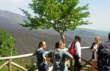 Catania - Etna private tour (audio guides available)