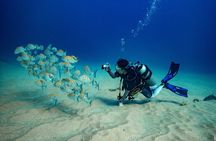 Discover Scuba Diving