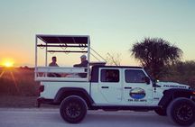 Dark Sky's in the Florida Everglades