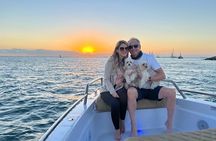 38' Private Luxury Sunset Charter w. Music & Drinks, up to 13 ppl