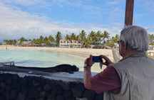 Day Tour to Isabela Island with Tintorera Islet, Snorkeling Wetlands & Flamingos