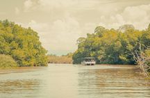 Appleton Estate, Black River Safari and YS Falls 