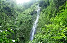 Waterfall, sloth expedition, frogs Blue River also in Costa Rica