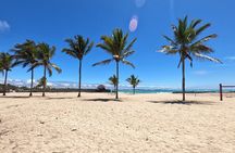 Day Tour to Isabela Island with Tintorera Islet, Snorkeling Wetlands & Flamingos