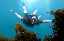 5 days excursion to Galapagos Islands with Snorkel and Volcanoes