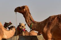 Golden Triangle Private Tour