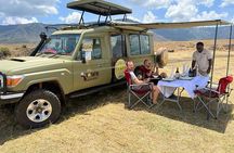 5-Day Private Northern Tanzania Safari from Arusha