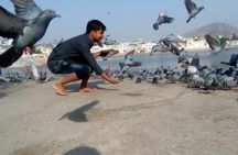 Discover Rajasthan: Jaipur, Pushkar, and Udaipur in 6 Days!