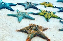 Starfish Adventure; The Rock; Paje Beach; Kuza Cave; Salaam Cave