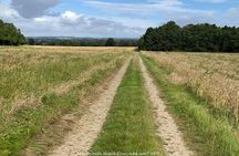 Bridgerton-Themed Castle Howard: Private Day Trip from York
