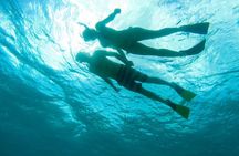 Discover the Best of St. John - Snorkel, Beach & Shopping!
