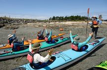 Guided Kayak Tour on San Juan Island