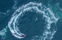 Full Day Whale Watching Campbell River