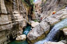 Full-Day Private Wadi Tiwi Adventure