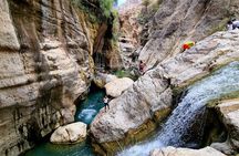 Full-Day Private Wadi Tiwi Adventure
