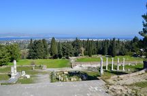 Guided Island Tour of Kos with Lunch