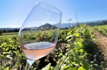 Half day Wine Tour in Bandol & Cassis from Aix en Provence