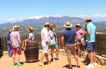 Penedes and Cava Winery Small Group Tour