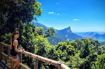 Rio Nature Secrets - The Eco Citytour (small group or private) 