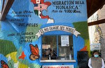 3-Day Private Guided Tour of Monarch Butterflies in Michoacan 