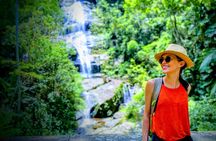 Rio Nature Secrets - The Eco Citytour (small group or private) 