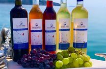 Wine Tasting and Tour in Saint Anna Winery in Naxos