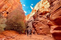 Grand Canyon South Rim, Antelope Canyon and Horseshoe Bend Tour