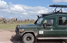 6 Days Amboseli,Lake Naivasha and Masai Mara Safari