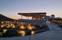 Winery Tour and Tasting in Tinos with the Winemaker