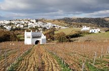 Winery Tour and Tasting in Tinos with the Winemaker
