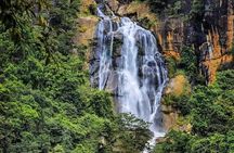 Private Ravana Falls and Nine Arches Bridge Ella Tour from Galle