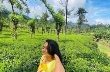 Private Ravana Falls and Nine Arches Bridge Ella Tour from Galle