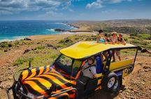 Ultimate Island Jeep Safari with Natural Pool, Baby Beach & Lunch