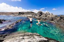 Ultimate Island Jeep Safari with Natural Pool, Baby Beach & Lunch