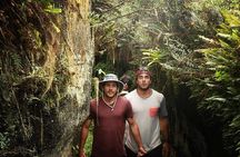 Full-Day Tour to Floreana Island & Cave of Pirates