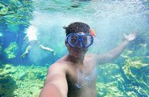 Half Day Bay Tour in Santa Cruz Island